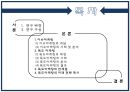 독도마케팅사례,이슈마케팅,다케시마,브랜드마케팅,서비스마케팅,글로벌경영,사례분석,swot,stp,4p 2페이지