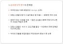 디즈니랜드,디즈니랜드해외진출,디즈니랜드마케팅전략,도쿄디즈니랜드,유로디즈니랜드 12페이지