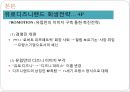 디즈니랜드,디즈니랜드해외진출,디즈니랜드마케팅전략,도쿄디즈니랜드,유로디즈니랜드 14페이지
