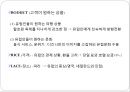 디즈니랜드,디즈니랜드해외진출,디즈니랜드마케팅전략,도쿄디즈니랜드,유로디즈니랜드 15페이지