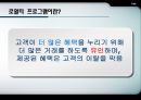 로열티프로그램,로열티프로그램성공사례,로열티프로그램목적및정의,Loyalty Program 성공사례 4페이지