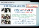 로열티프로그램,로열티프로그램성공사례,로열티프로그램목적및정의,Loyalty Program 성공사례 15페이지