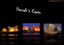 로열티프로그램,로열티프로그램성공사례,로열티프로그램목적및정의,Loyalty Program 성공사례,Harrahs 카지노,Hilton 호텔 10페이지