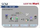 롯데마트유통관리론,롯데마트마케팅전략,롯데마트SCM,SCM사례,대형마트마케팅전략 18페이지
