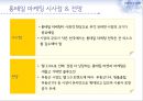롱테일(Long tail) 마케팅,롱테일마케팅전략 및 사례,Longtail마케팅전략 15페이지