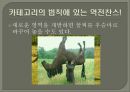 리더쉽의법칙,리더,성공사례,브랜드마케팅,서비스마케팅,글로벌경영,사례분석,swot,stp,4p 14페이지