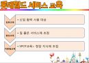 롯데월드,롯데월드마케팅전략,롯데월드기업분석,놀이공원마케팅전략,놀이공원분석 17페이지