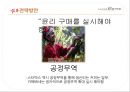 마케팅_카페베네,커피시장조사마케팅,커피산업,브랜드마케팅,서비스마케팅,글로벌경영,사례분석,swot,stp,4p 17페이지