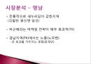 마케팅 측면에서 바라본 정당 - 새누리당 vs 민주통합당 (마케팅측면에서바로본정당,새누리당마케팅,민주통합당마케팅,정당분석,새누리당분석,민주통합당분석).PPT자료 4페이지