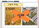 마케팅전략,스타마케팅,감성마케팅,그린마케팅,노이즈마케팅,마케팅사례,마케팅사례분석.PPT자료 16페이지