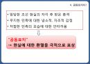 만세전,염상섭의만세전,여성주의적시각,만세전의서사구조 27페이지