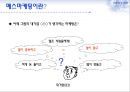 매스(mass)마케팅 - 매스마케팅,매스마케팅전략,매스마케팅사례및분석,전략적마케팅.PPT자료 3페이지