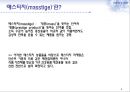 매스티지(masstige) 마케팅 - 매스티지마케팅,매스티지마케팅전략,매스티지마케팅사례및분석,전략적마케팅.PPT자료 4페이지
