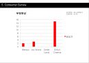 메가박스 리네이밍 (Megabox Naming project) - 메가박스,영화관,멀티플렉스,마케팅,브랜드,브랜드마케팅,기업,서비스마케팅,글로벌,경영,시장,사례,swot,stp,4p.PPT자료 36페이지
