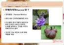 [무역상무론] 글라리아 (Glaria) 마케팅사례,마케팅,브랜드,브랜드마케팅,기업,서비스마케팅,글로벌,경영,시장,사례,swot,stp,4p.PPT자료 4페이지