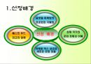 맥도널드의 마케팅 전략과 성공 사례 - 맥도널드의 마케팅 전략과 성공사례,맥도널드마케팅전략,맥도날드성공사례,패스트푸드마케팅전략.PPT자료 3페이지