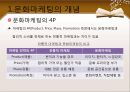 문화마케팅,문화마케팅사례,문화마케팅유형,마케팅종류,마케팅사례,성공적인마케팅전략 6페이지