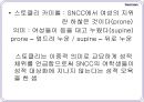 미국의여성운동,여성권리운동,급진적페미니즘,게릴라걸즈,자유주의페미니즘,에코페미니즘,우머니즘,생리공결제 12페이지
