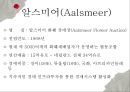 무역실무,장미수출전략,화훼수출,수출상품과수출시장,네덜란드화훼수출 13페이지