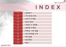 미샤화장품,해외진출,브랜드마케팅,서비스마케팅,글로벌경영,사례분석,swot,stp,4p 2페이지