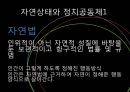 민주주의,인권,헌법의 발명,정치혁명,자연상태와정치공동체,세속화와종교분리 19페이지
