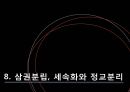 민주주의,인권,헌법의 발명,정치혁명,자연상태와정치공동체,세속화와종교분리 41페이지