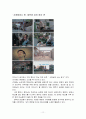 박카스 마케팅전략 및 기업분석(4P,STP,SWOT분석) 11페이지