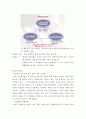미샤 성공요인 분석과 앞으로의 발전 요인,미샤마케팅,미샤분석 9페이지