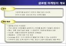 글로벌 마케팅 성공사례 발표 - 아시아의 별 BOA (보아,보아마케팅,보아마케팅전략,보아성공전략,연예인마케팅,스타마케팅).PPT자료 5페이지