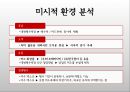 보령머드축제 - 기존 MKT MIX/활성화 방안 제시 (지역축제 마케팅,축제마케팅전략사례,브랜드마케팅,서비스마케팅,글로벌경영,사례분석,swot,stp,4p).ppt 8페이지