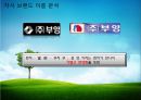 브랜드네임,브랜드전략,마케팅,브랜드,브랜드마케팅,기업,서비스마케팅,글로벌,경영,시장,사례,swot,stp,4p 15페이지