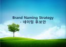 브랜드네임,브랜드전략,마케팅,브랜드,브랜드마케팅,기업,서비스마케팅,글로벌,경영,시장,사례,swot,stp,4p 49페이지