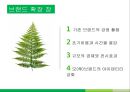 브랜드확장,브랜드확장성공사례,브랜드확장실패사례 10페이지