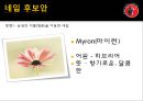 블랙데빌,담배시장,흡연,마케팅,브랜드,브랜드마케팅,기업,서비스마케팅,글로벌,경영,시장,사례,swot,stp,4p 30페이지