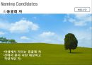 아모르떼 리네이밍 Re-naming Project - 茶음료 시장, 차음료,브랜드네이밍,브랜드마케팅,브랜드사례,마케팅,브랜드,브랜드마케팅,기업,서비스마케팅,글로벌,경영,시장,사례,swot,stp,4p.PPT자료 47페이지
