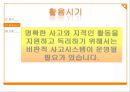 비판적 사고시스템,비판적사고,비판적사고사례,비판적사고시스템사례 12페이지