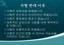사형,사형제도,사형찬반,사형찬성,사형반대,인권문제,사형수 31페이지