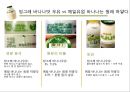 빙그레 바나나우유 마케팅전략 및 분석,바나나우유,단지우유,빙그레우유,우유마케팅 10페이지