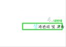 사람과 사람 NHN의 경영 조직,브랜드마케팅,서비스마케팅,글로벌경영,사례분석,swot,stp,4p 22페이지