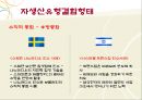 삼성전자 기업 소개,삼성전자 투자 전략,브랜드마케팅,서비스마케팅,글로벌경영,사례분석,swot,stp,4p 20페이지