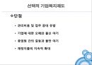 사회복지의 재원 - 민간부문 : 기업복지제도 (사회복지-기업복지,선진기업복지제도,복지문제점).PPT자료 16페이지