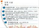 [사회복지서비스정책]  아동 및 청소년 복지 (아동복지,청소년복지)필요성, 복지 정책.ppt 13페이지