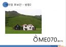 SAMSUNG Wyz070 와이즈 070 Renaming 리네이밍 (인터넷전화기,마케팅,브랜드,브랜드마케팅,기업,서비스마케팅,글로벌,경영,시장,사례,swot,stp,4p).PPT자료 32페이지