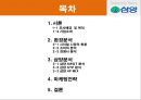 삼양시리얼,삼양시리얼마케팅전략,삼양마케팅전략,후발주자마케팅,후발마케팅,시리얼마케팅 2페이지