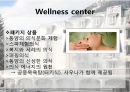 여름과 겨울이 공존하는 알프스의 천국 - 샤모니 몽블랑 (샤모니몽블랑,알프스천국,샤모니몽블랑분석,샤모니빌리지).PPT자료 15페이지