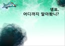 샘표, 어디까지 알아봤니? (샘표기업분석,샘표마케팅전략,샘표재무활동).PPT자료 2페이지