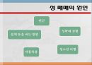 성매매현황과인식,성매매현황,성매매의법적처벌,신종성매매,변종성매매 6페이지