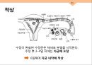 성심리와 성건강 임신과 분만,출산율,월경,임신,육아,태교 13페이지
