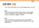 성심리와 성건강 임신과 분만,출산율,월경,임신,육아,태교 19페이지