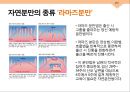 성심리와 성건강 임신과 분만,출산율,월경,임신,육아,태교 36페이지